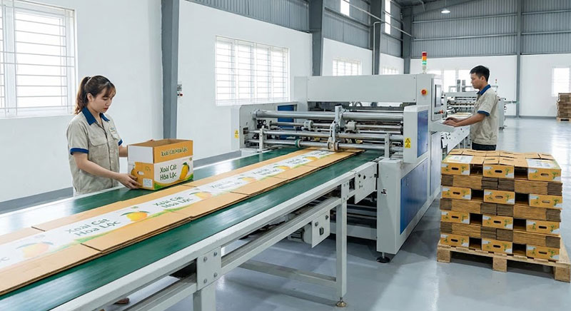 Quy trình in hộp giấy - in ấn dp