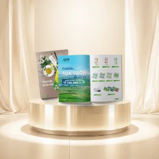 Mẫu In catalogue & brochure D&P 3