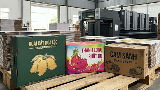 in hộp giấy đựng trái cây - in ấn dp
